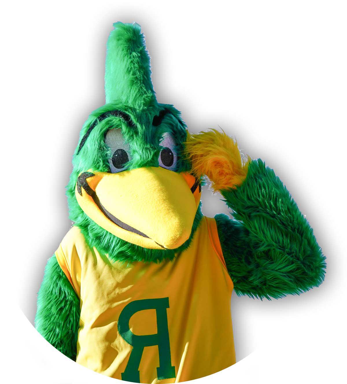 Roadrunner mascot